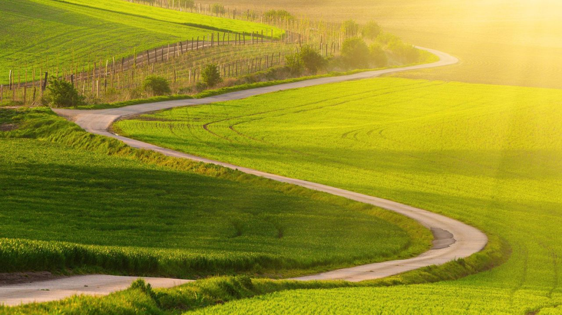 Mezőgazdasági, erdészeti utak tervezése