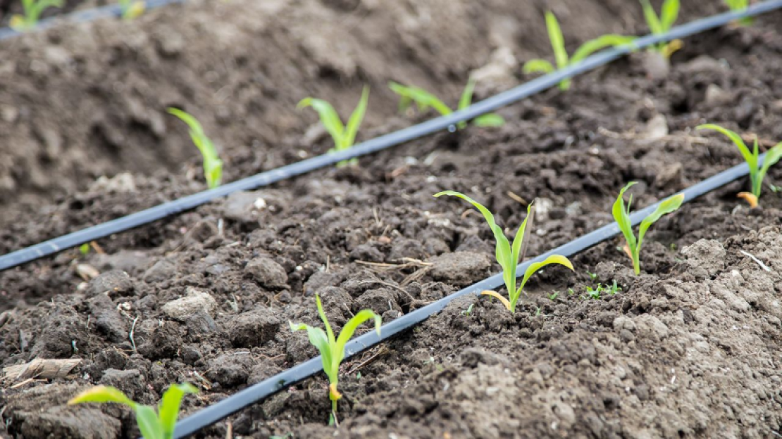 öntözőkút és öntözőrendszer teljes körű kivitelezése