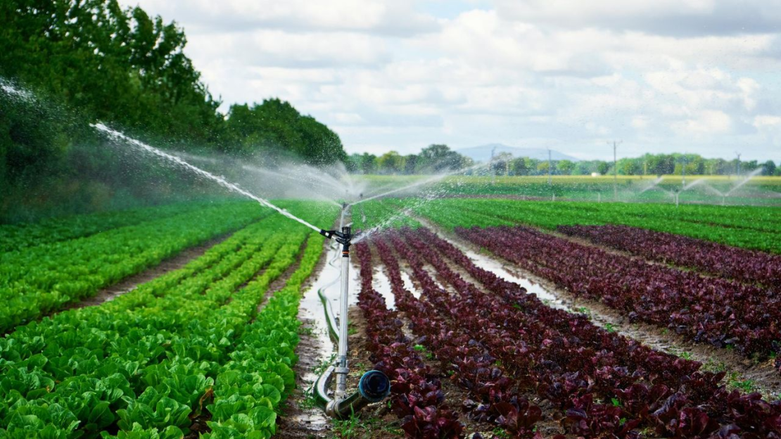 Szántóföldi öntözés, öntözőrendszer kiépítés