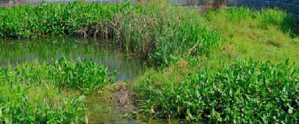 talajvíz kiküszöböléséhez csapadékvíz szikkasztó méretezése