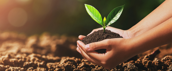 felszíni vízkivétel előírásai