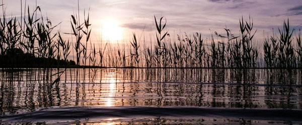 halastó építési engedély