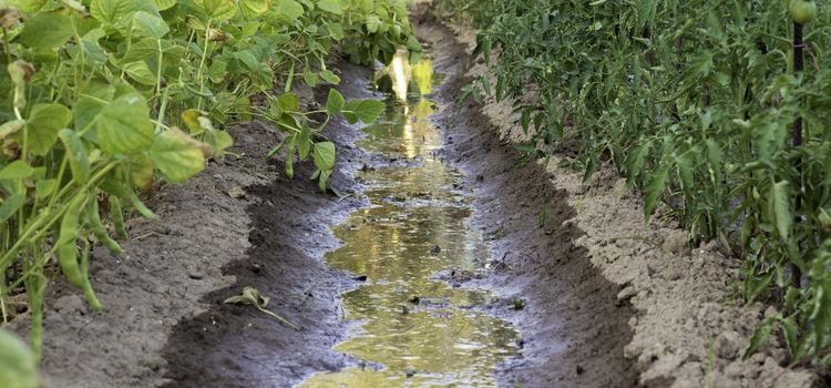 Hígtrágya kijuttató rendszer