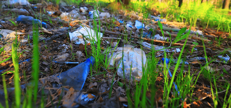 fontos a környezetvédelem