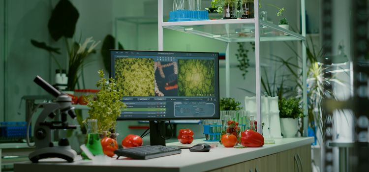 környezeti hatásvizsgálat