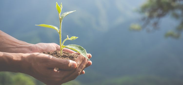 környezeti hatásvizsgálat