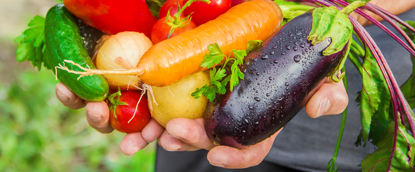 öntözésrendszer tervezés pályázati segítséggel