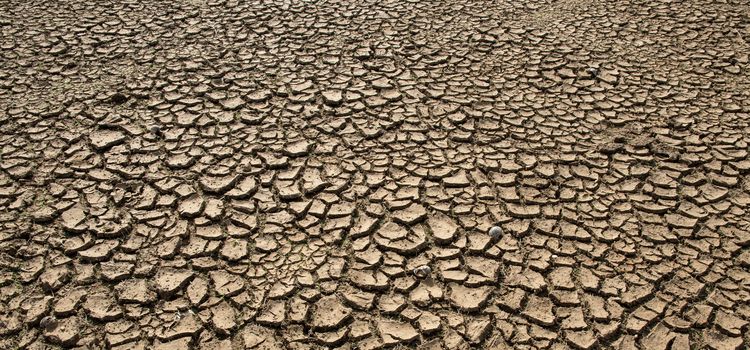 Nincs víz a kútban