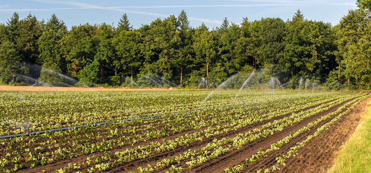 Sekély vagy mélyfúrású kút