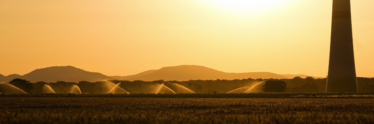 vízjogi fennmaradási engedély